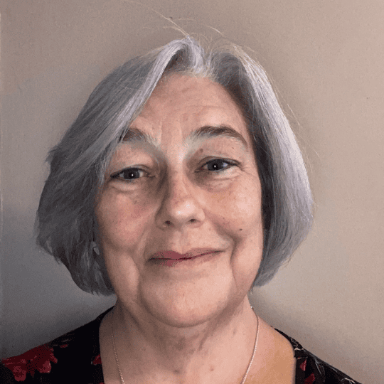 Ann Walsh